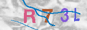 Immagine CAPTCHA